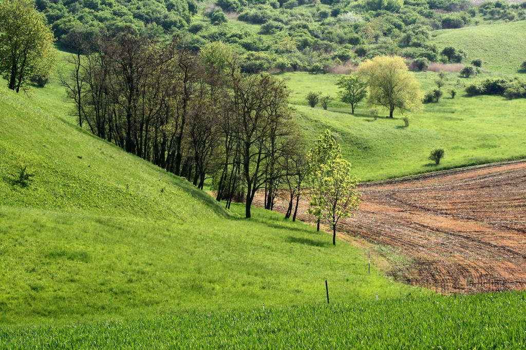 Natura 2000 - implementace v Jihomoravském kraji, 4. etapa