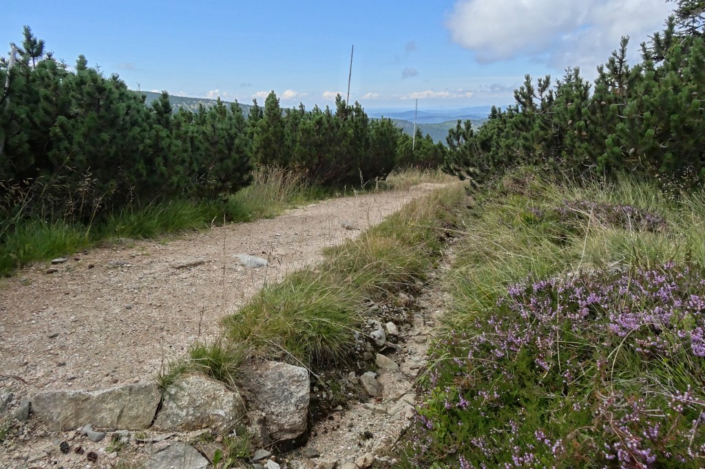 Rekonstrukce lesních cest v souvislosti s plněním plánu péče o národní park v západních Krkonoších