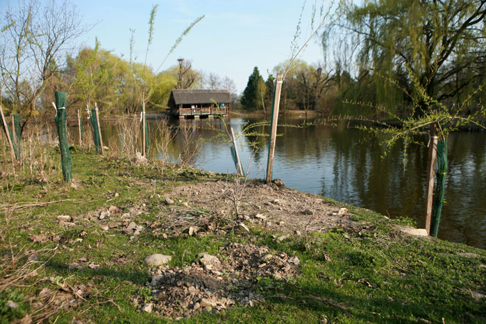 Revitalizace Kamenného rybníku