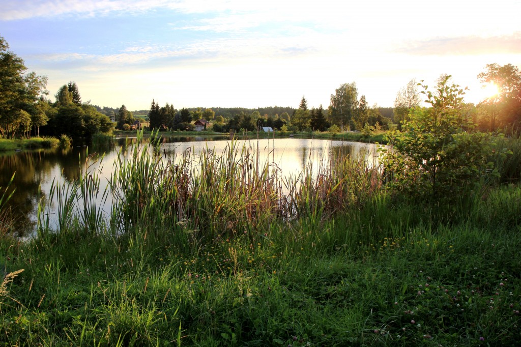 Rybník Dožín v k.ú. Železný Újezd. Odbahnění a opravy hráze rybníka