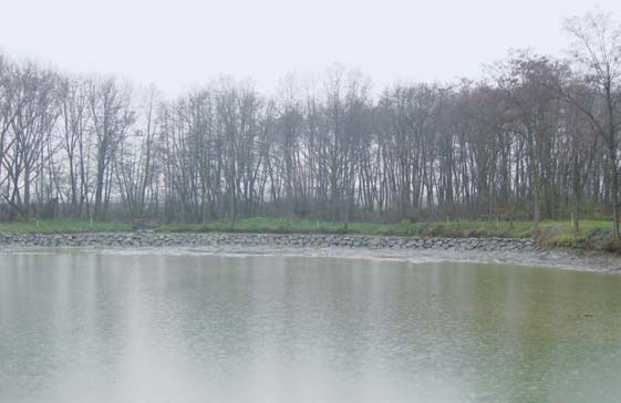 Revitalizační opatření Unkovického rybníka a jeho okolí