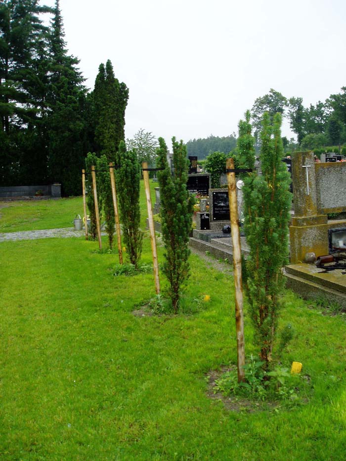 Revitalizace hřbitovní aleje ve Vodňanech