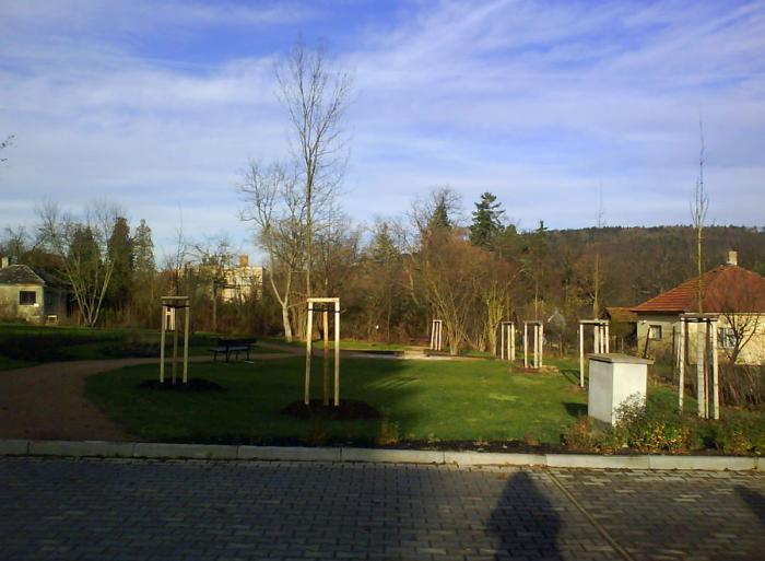 Výsadba stromořadí v ulicích města a založení parku u DPS v Černošicích