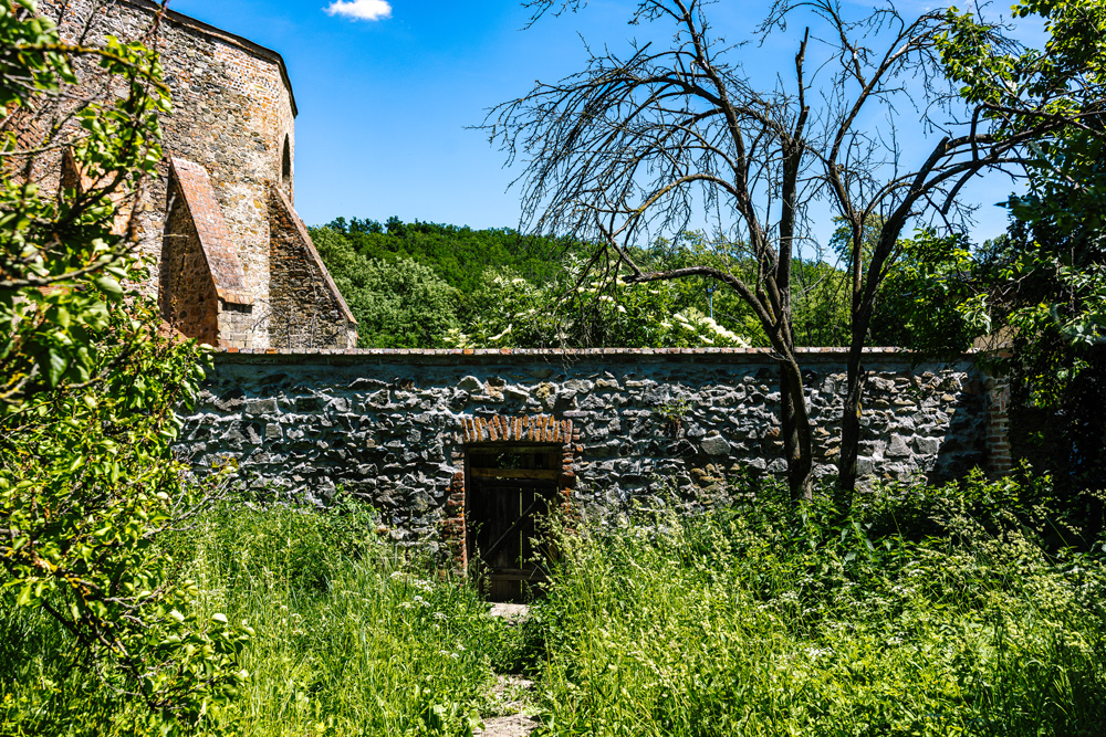 Revitalizace kláštera Rosa Coeli - jižní zahrada
