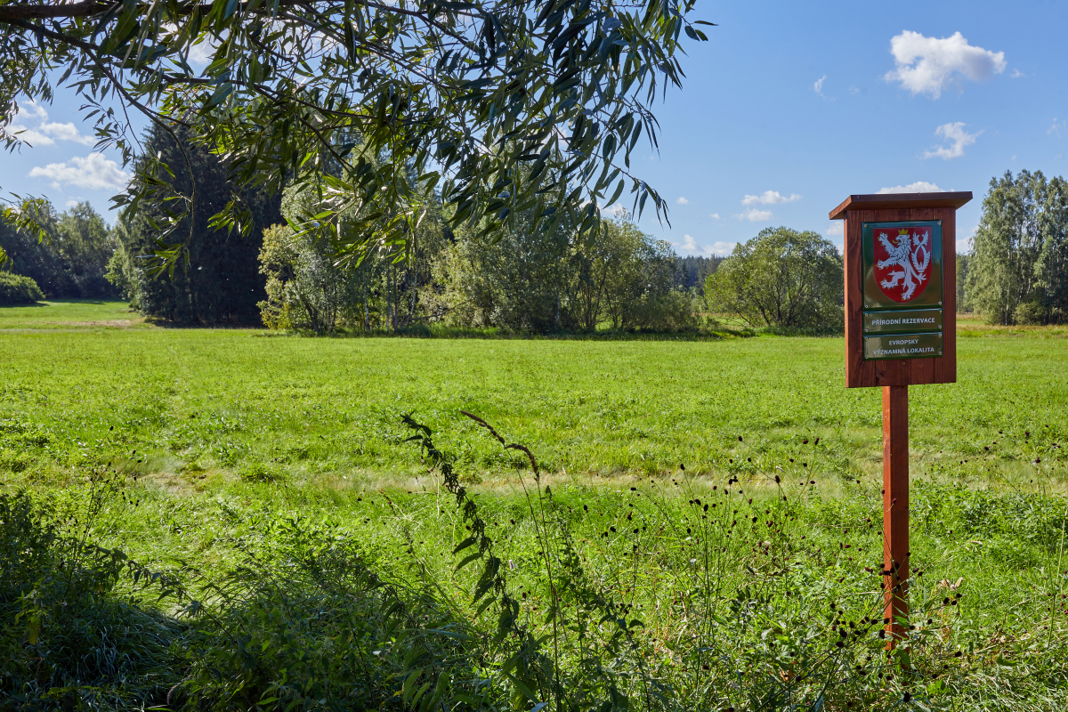 Dokončení implementace soustavy Natura 2000 V Kraji Vysočina - Niva Doubravy, Opatovské zákopy a Kamenný vrch