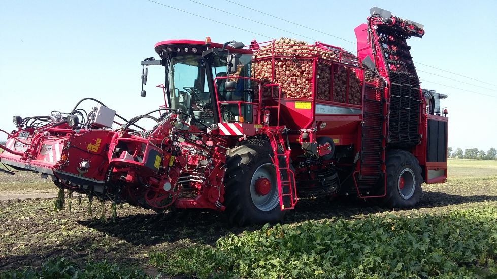 Sklizeň cukrové řepy s využitím inovačních technologií a optimalizace agrotechniky pro další plodinu