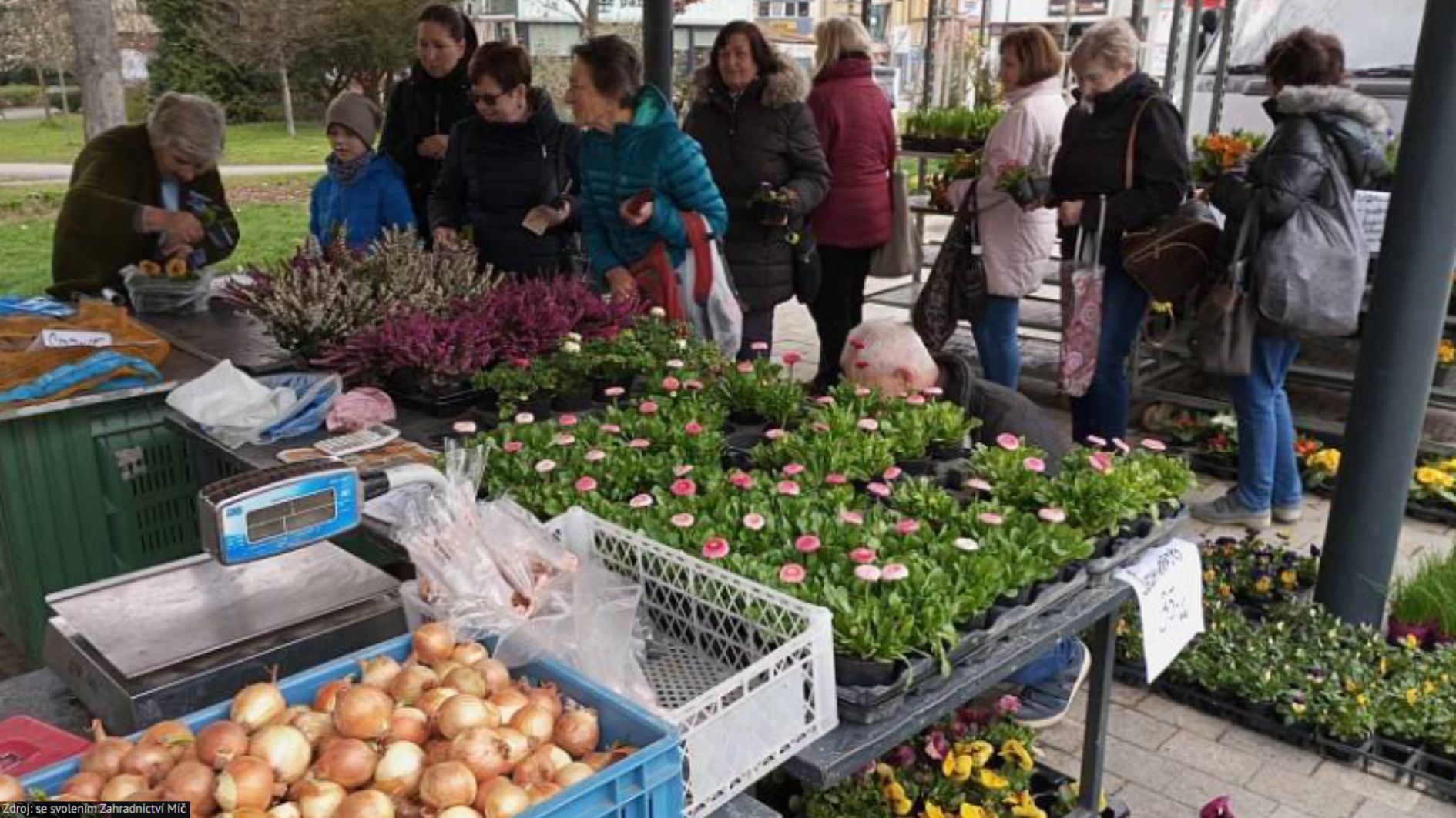Kde fondy EU pomáhají: Místo kompostu lahodné křížaly. Zahradnictví rozšířilo sortiment o sušené ovoce