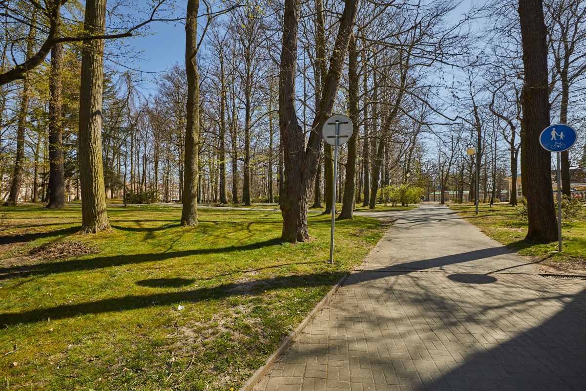 Revitalizace zeleně - Městské sady Františkovy Lázně