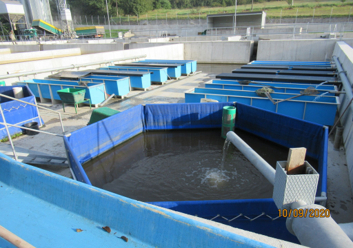 Rekonstrukce sádek - Náměšť nad Oslavou - II.
