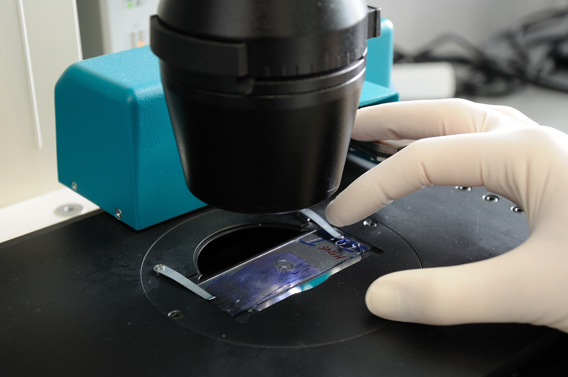 Centrum aplikované genomiky solidních nádorů