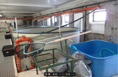 Recirkulační akvakulturní systém - Stračov