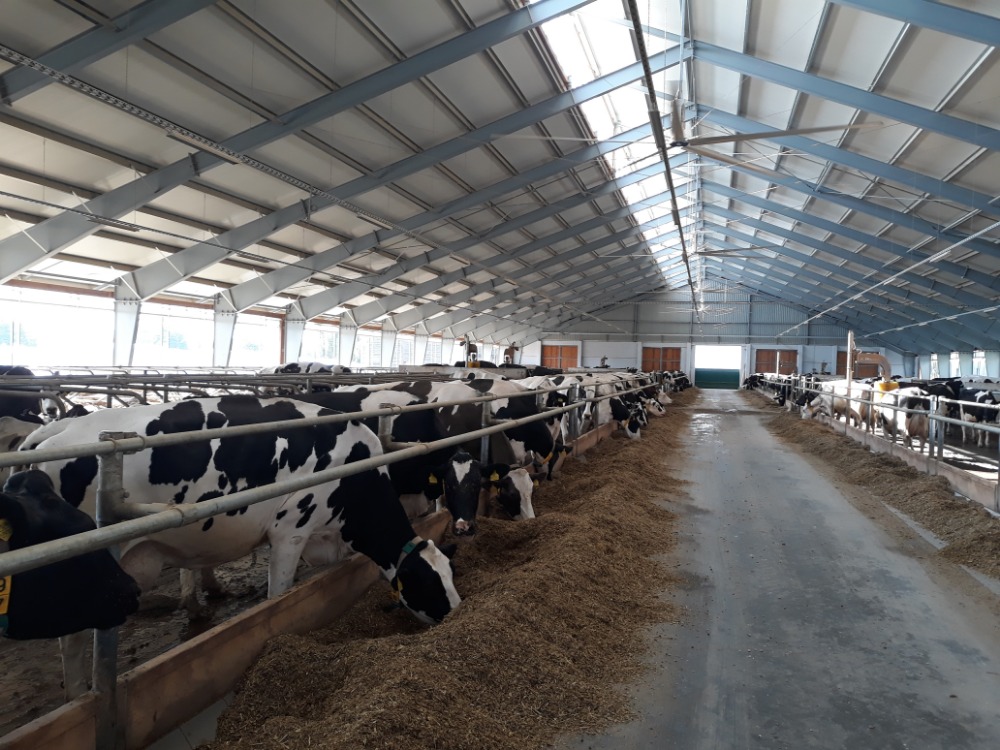 Inovace na mléčné farmě Lípa
