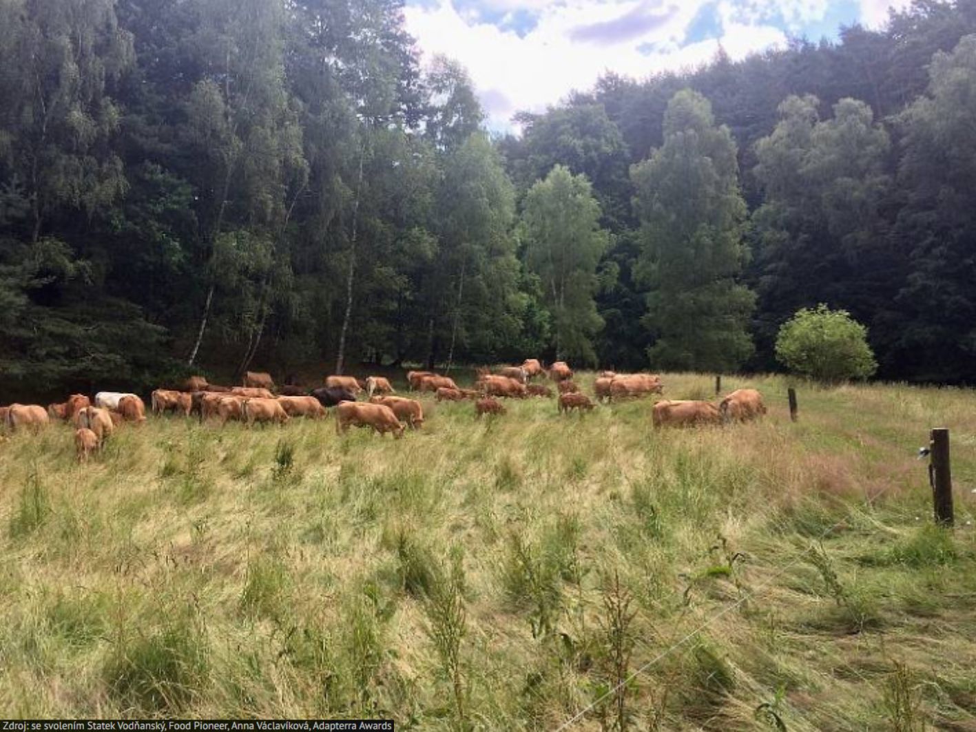 Investice do zemědělského podniku_Statek Vodňanský s.r.o.