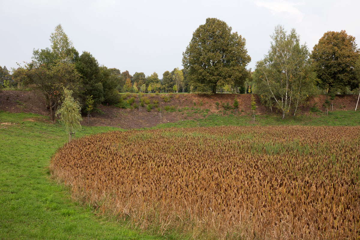 Revitalizace a regenerace brownfields - část I.