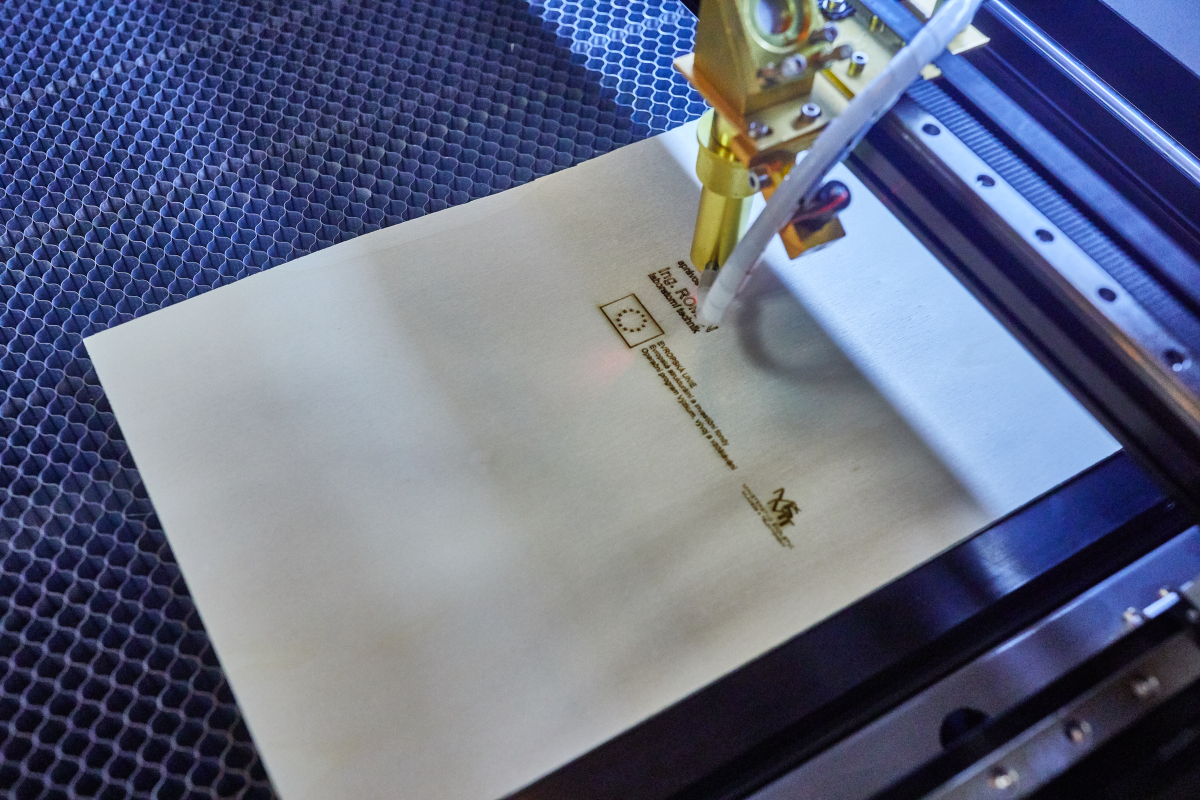 Biomedicínské inženýrství pro znalostní ekonomiku