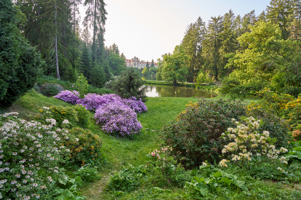 Rozkvetlé parky a zahrady: IROP pomáhá obnovovat zelené poklady českých měst a obcí